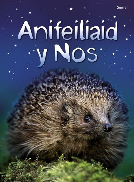 Cover image for Cyfres Dechrau Da: Anifeiliaid y Nos, isbn: 9781848516793
