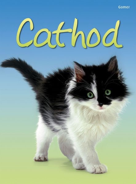 Cover image for Cyfres Dechrau Da: Cathod, isbn: 9781848516823