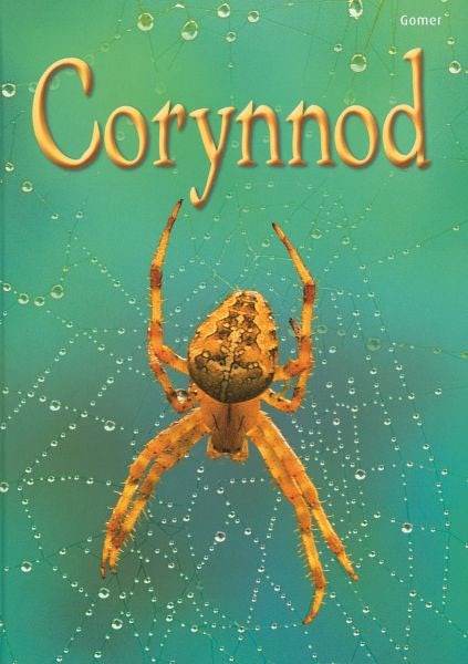 Cover image for Cyfres Dechrau Da: Corynnod, isbn: 9781848516847