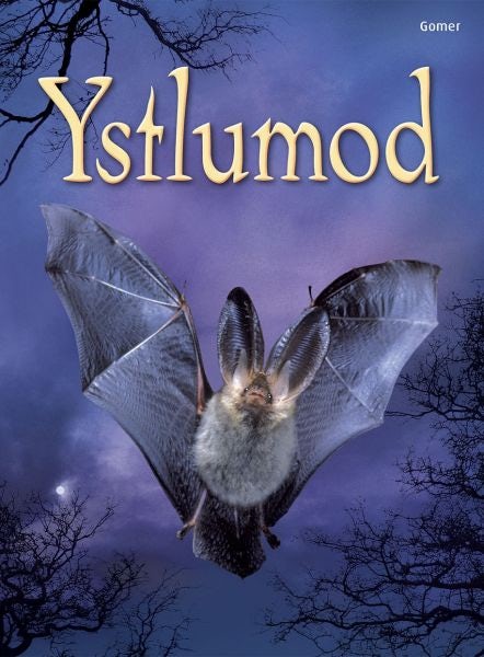 Cover image for Cyfres Dechrau Da: Ystlumod, isbn: 9781848516885