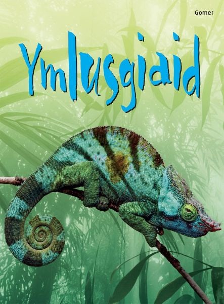 Cover image for Cyfres Dechrau Da: Ymlusgiaid, isbn: 9781848516892