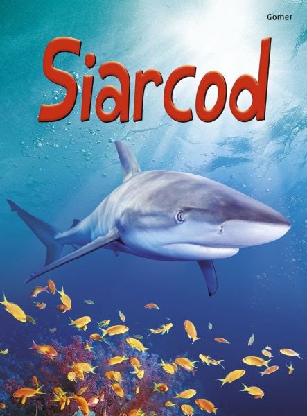 Cover image for Cyfres Dechrau Da: Siarcod, isbn: 9781848516915