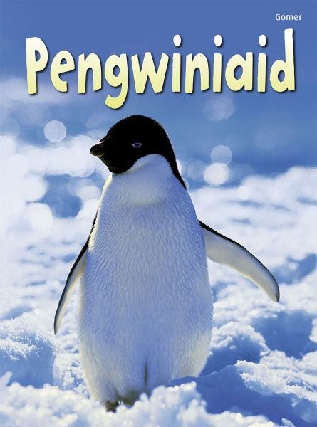 Cover image for Cyfres Dechrau Da: Pengwiniaid, isbn: 9781848516960