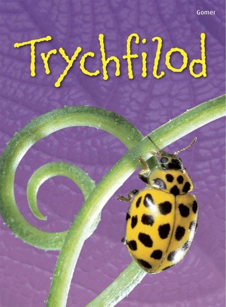Cover image for Cyfres Dechrau Da: Trychfilod, isbn: 9781848516977