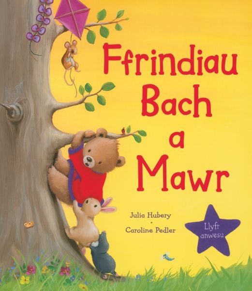 Cover image for Ffrindiau Bach a Mawr, isbn: 9781848517066