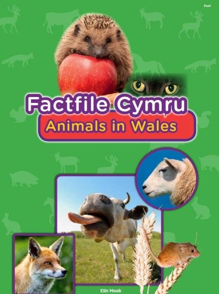 Cover image for Factfile Cymru: Animals in Wales, isbn: 9781848517417