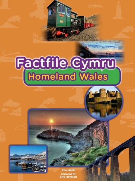 Cover image for Factfile Cymru: Homeland Wales, isbn: 9781848517424