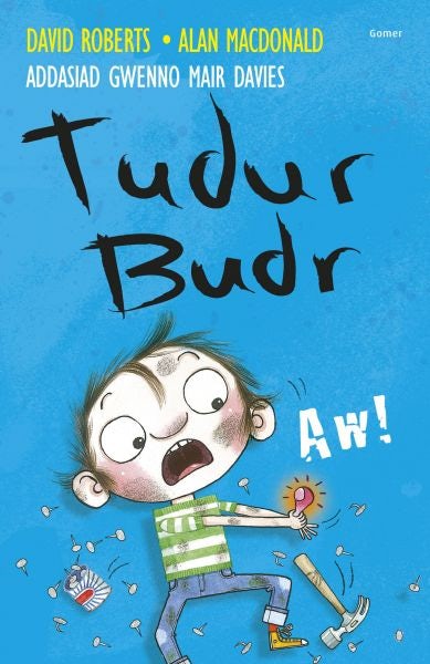 Cover image for Tudur Budr: Aw!, isbn: 9781848517615