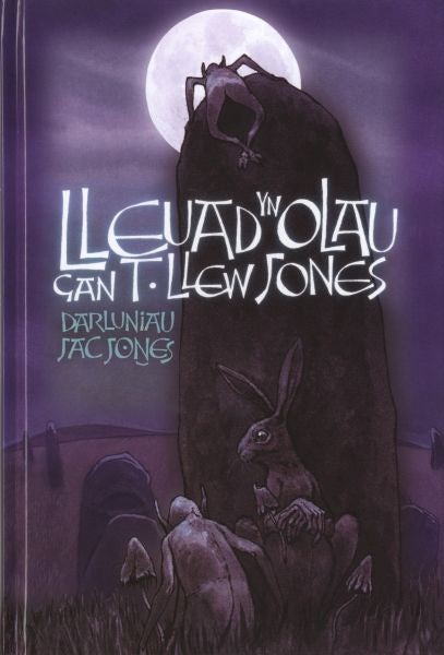 Cover image for Lleuad yn Olau, isbn: 9781848517646