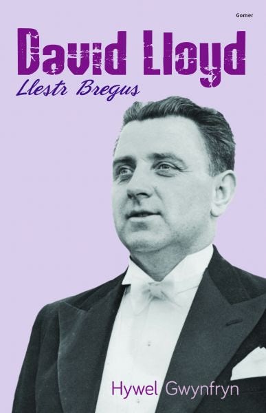 Cover image for David Lloyd - Llestr Bregus, isbn: 9781848517998