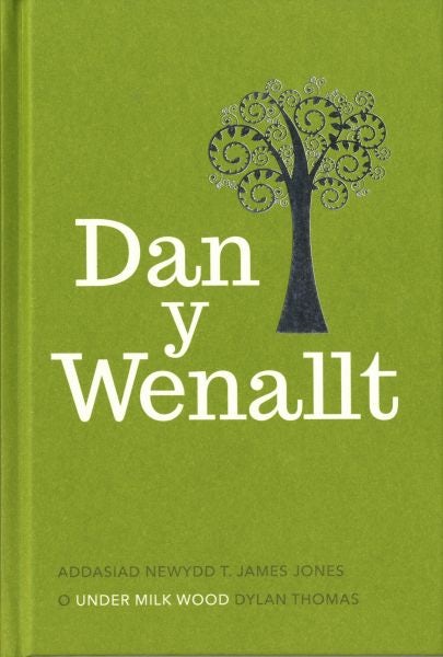 Cover image for Dan y Wenallt - Cyfrol Canmlwyddiant, isbn: 9781848518100