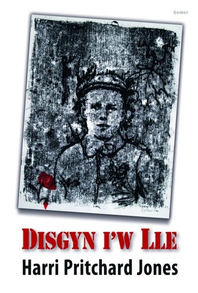 Cover image for Disgyn i'w Lle, isbn: 9781848518131