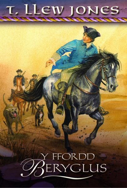 Cover image for Y Ffordd Beryglus, isbn: 9781848518360