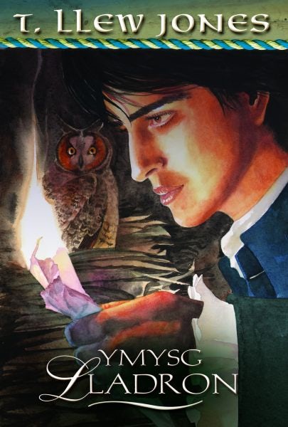 Cover image for Ymysg Lladron, isbn: 9781848518384