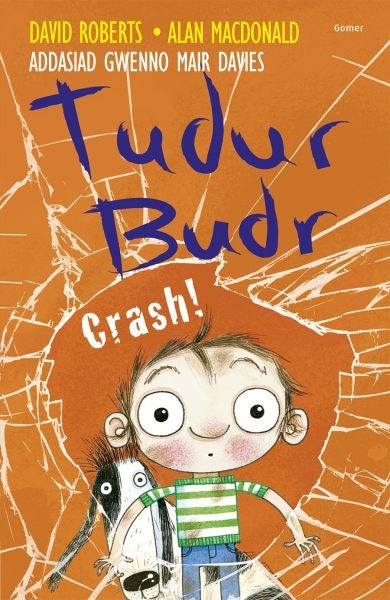 Cover image for Tudur Budr: Crash!, isbn: 9781848519961