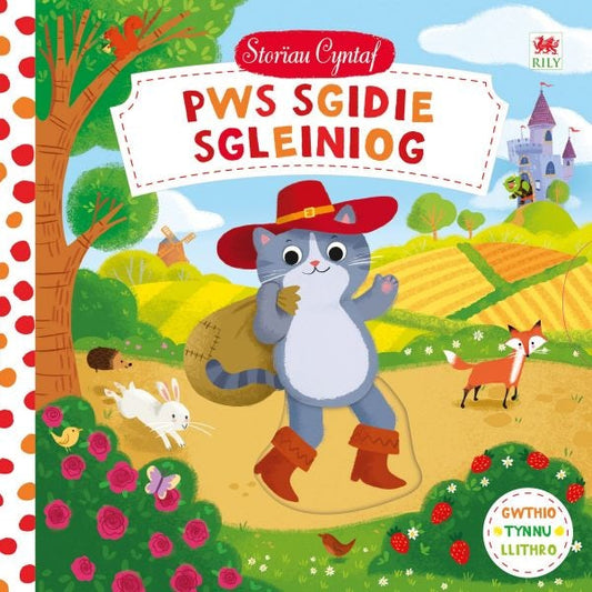 Cover image for Cyfres Storiau Cyntaf: Pws Sgidie Sgleiniog, isbn: 9781849670692