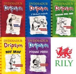 Cover image for Pecyn Dyddiadur Dripsyn: 1-5, isbn: 9781849670845