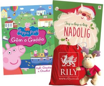 Cover image for Pecyn Nadolig gyda Thegan, isbn: 9781849670890