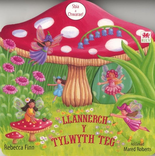 Cover image for Llannerch y Tylwyth Teg, isbn: 9781849671088