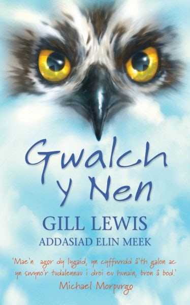 Cover image for Gwalch y Nen, isbn: 9781849671163