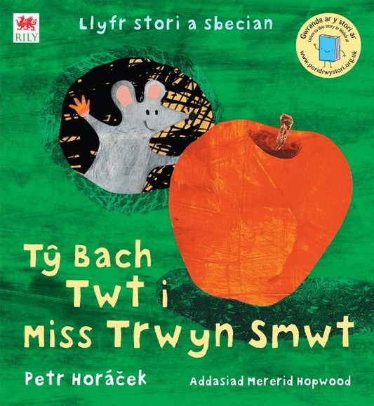 Cover image for Tŷ Bach Twt i Miss Trwyn Smwt, isbn: 9781849671453
