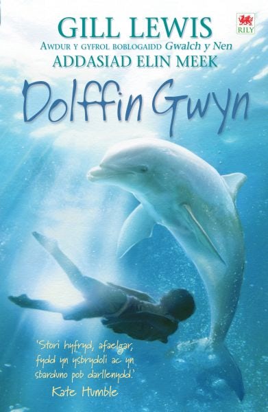 Cover image for Dolffin Gwyn, isbn: 9781849671514