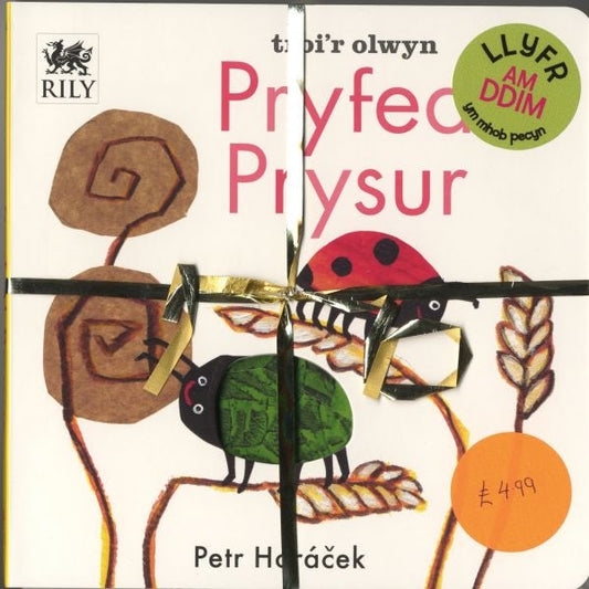 Cover image for Pecyn Nos Da a Pryfed Prysur, isbn: 9781849671811