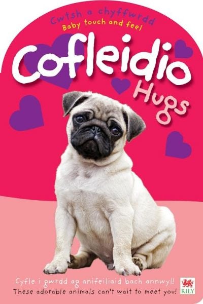 Cover image for Cwtsh a Chyffwrdd: Cofleidio / Baby Touch and Feel: Hugs, isbn: 9781849673006