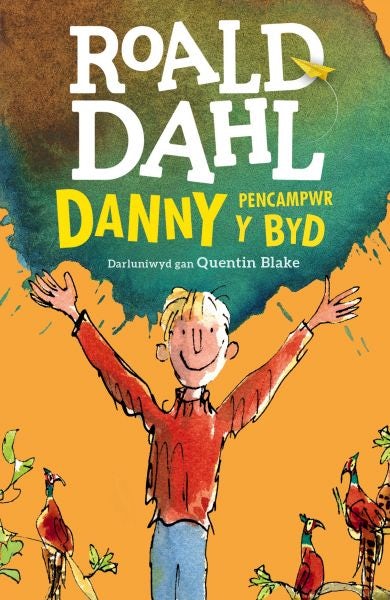 Cover image for Danny Pencampwr y Byd, isbn: 9781849673525