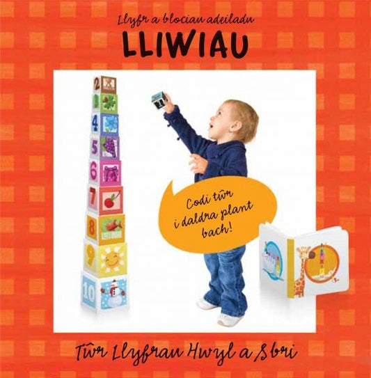 Cover image for Tŵr Llyfrau - Hwyl a Sbri, isbn: 9781849673563