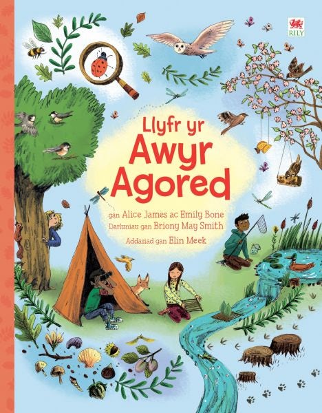 Cover image for Llyfr yr Awyr Agored, isbn: 9781849673693