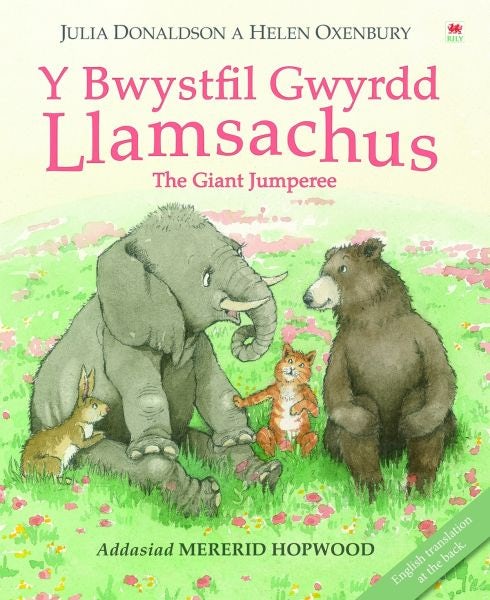 Cover image for Y Bwystfil Gwyrdd Llamsachus, isbn: 9781849673822