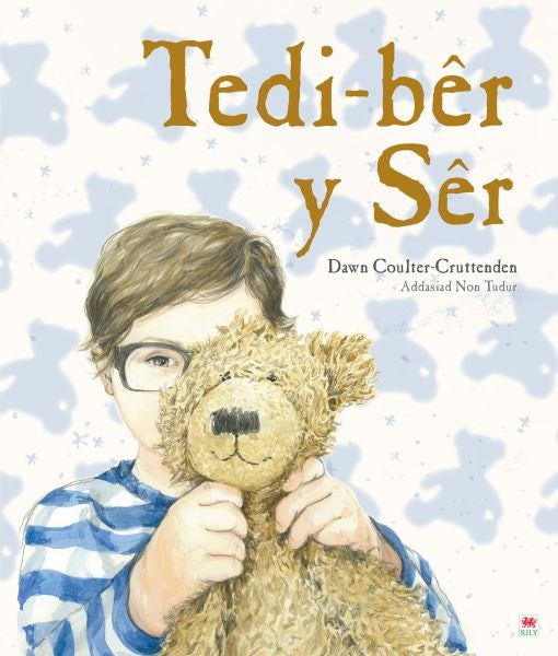 Cover image for Tedi Bêr y Sêr, isbn: 9781849674515