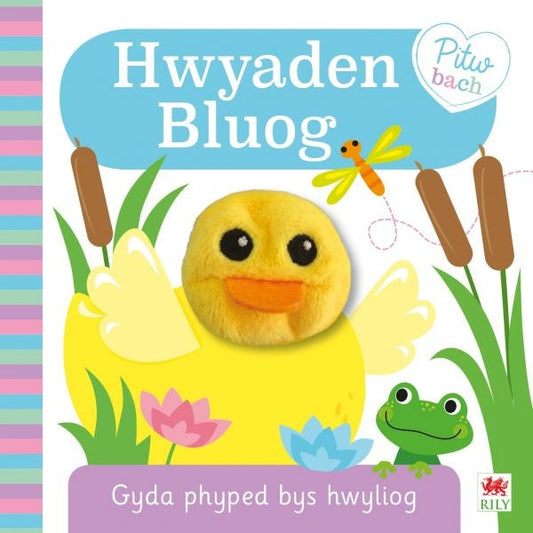 Cover image for Cyfres Pitw Bach: Hwyaden Bluog, isbn: 9781849674522