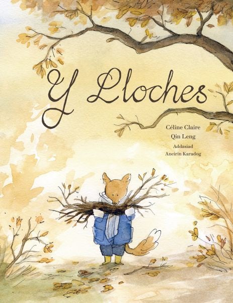 Cover image for Y Lloches, isbn: 9781849674904