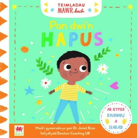 Cover image for Cyfres Teimladau Mawr Bach: Pan Dwi'n Hapus, isbn: 9781849674997