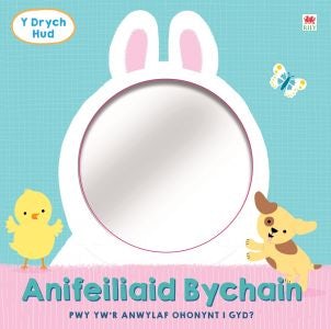 Cover image for Drych Hud, Y: Anifeiliaid Bychain, isbn: 9781849675727