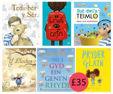 Cover image for Pecyn Iechyd Da - Cymraeg Rily (6 Llyfr), isbn: 9781849676182