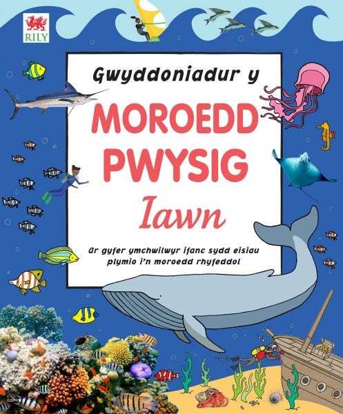 Cover image for Gwyddoniadur y Moroedd Pwysig Iawn, isbn: 9781849676397