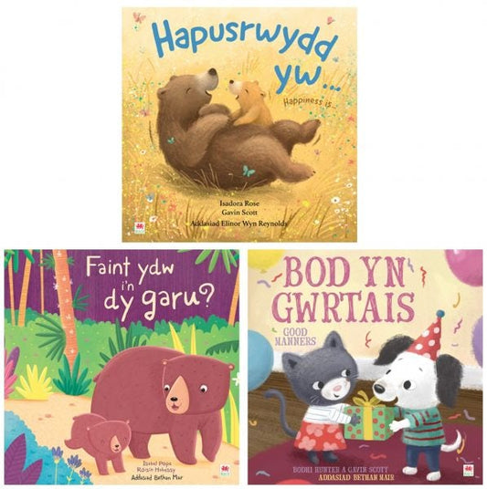 Cover image for Pecyn Dwyieithog Meithrin/Preschool Bilingual Pack, isbn: 9781849676465