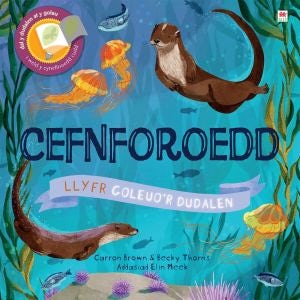 Cover image for Cyfres Goleuo'r Dudalen: Cefnforoedd, isbn: 9781849677073