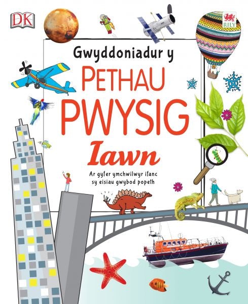 Cover image for Gwyddoniadur y Pethau Pwysig Iawn, isbn: 9781849677677