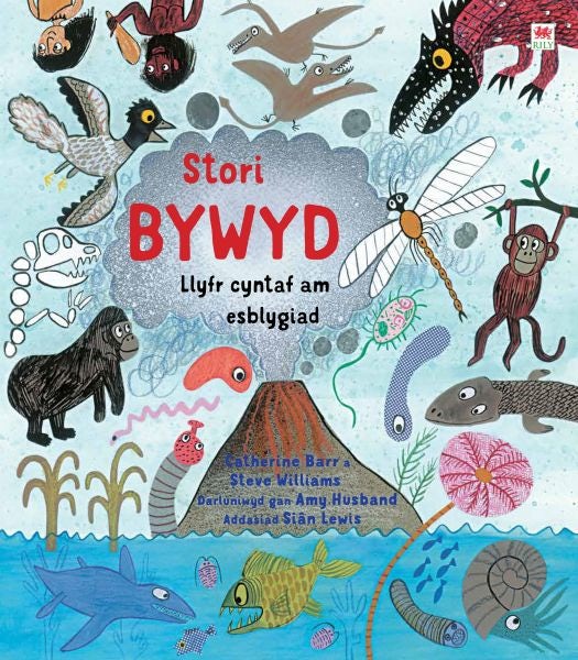 Cover image for Stori Bywyd, isbn: 9781849677837