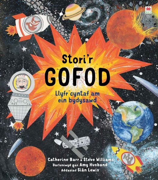 Cover image for Stori'r Gofod, isbn: 9781849677868