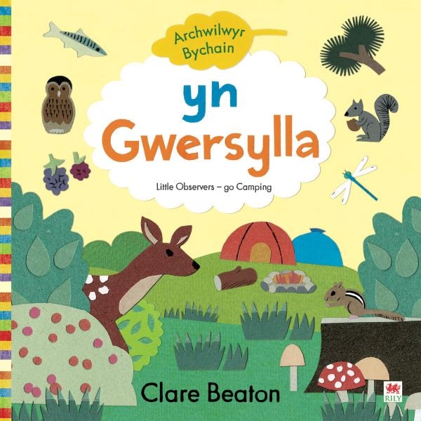 Cover image for Archwilwyr Bychain: Yn Gwersylla / Go Camping, isbn: 9781849678414