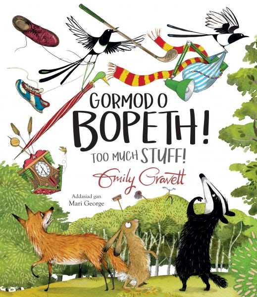 Cover image for Gormod o Bopeth! / Too Much Stuff!, isbn: 9781849679039