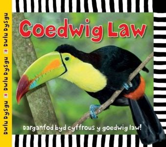 Cover image for Cyfres Dwlu Dysgu: Coedwig Law, isbn: 9781849679183