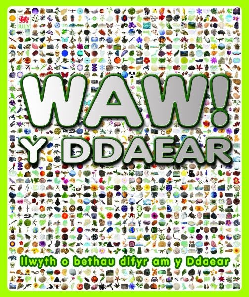 Cover image for Waw! y Ddaear, isbn: 9781849679640