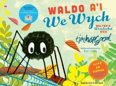 Cover image for Waldo a'i We Wych / Walter's Wonderful Web, isbn: 9781849679954