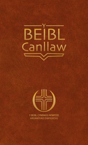Cover image for Beibl Canllaw, Y, isbn: 9781850492504